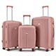 Joyway 3 Piece Luggage Sets Hardshell Lightweight Suitcase with TSA Lock Spinner Wheels