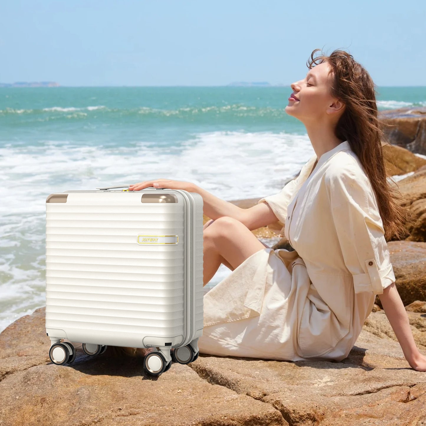 Joyway hand luggage 20 inch boarding case, hard shell with TSA lock, stylish, sturdy, anti drop and pressure resistant ABS material TR023